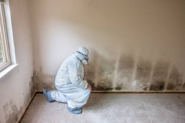 Best Industrial Mold Remediation in Granite Falls, WA