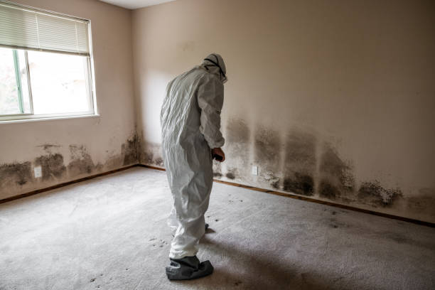 Best HVAC Mold Remediation in Granite Falls, WA